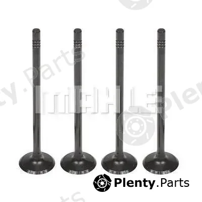 Mahle VA0181606 — Intake Valve