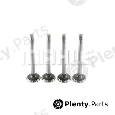 Mahle VE0570037 — Exhaust Valve