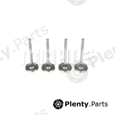 Mahle VA0590094 — Intake Valve
