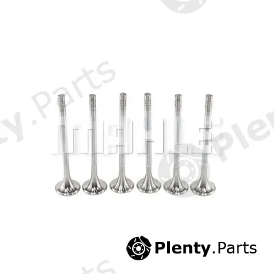 Mahle VE0761424 — Exhaust Valve