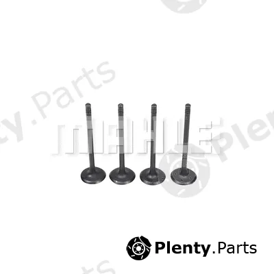 Mahle VA0591471 — Intake Valve