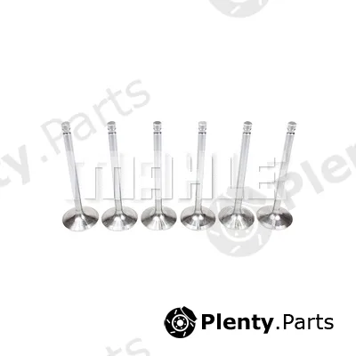 Mahle VA0761145 — Intake Valve