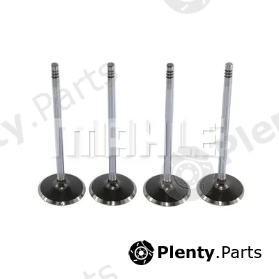 Mahle VA0251632 — Intake Valve