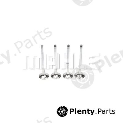 Mahle VE0441603 — Exhaust Valve