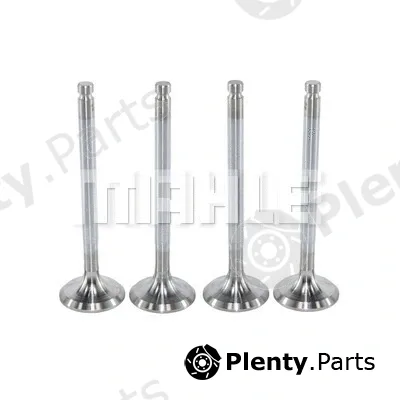 Mahle VA0250165 — Intake Valve