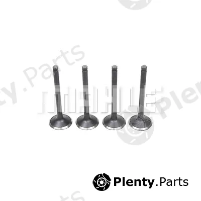 Mahle VA2110185 — Intake Valve