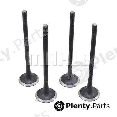 Mahle VE2081729 — Exhaust Valve