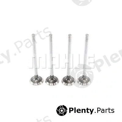 Mahle VE1950238 — Exhaust Valve