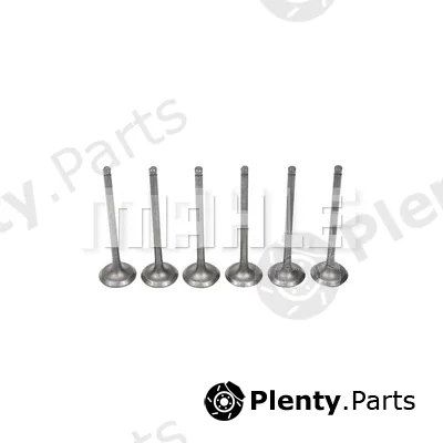Mahle VA2081664 — Intake Valve
