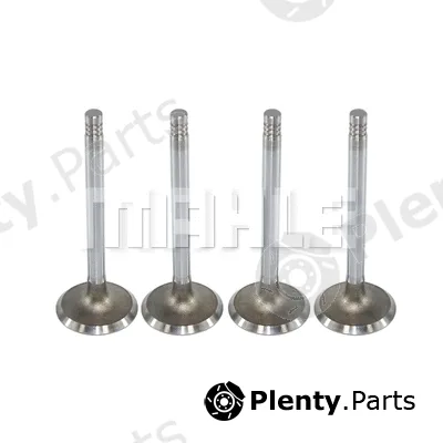 Mahle VA0570038 — Intake Valve
