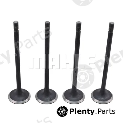 Mahle VE0181747 — Exhaust Valve