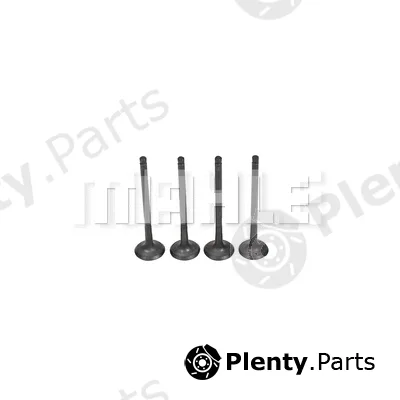 Mahle VE0631641 — Exhaust Valve