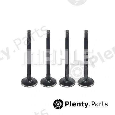 Mahle VA0480233 — Intake Valve