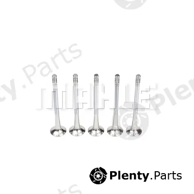 Mahle VE0250161 — Exhaust Valve