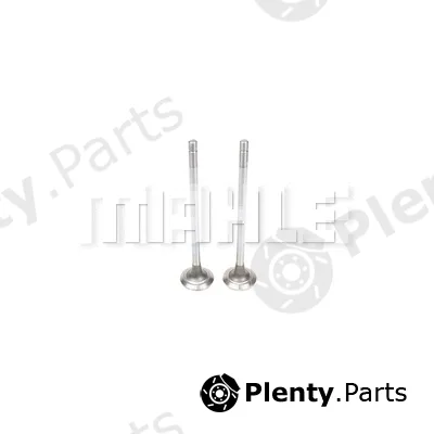 Mahle VE0210236 — Exhaust Valve