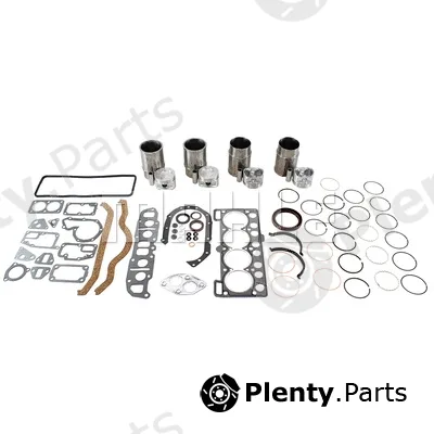 Mahle K59302 — Repair Set, piston/sleeve