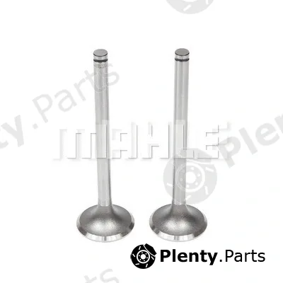 Mahle VA0060904 — Intake Valve