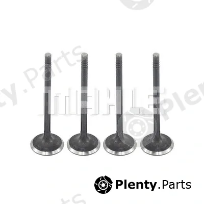 Mahle VA0701421 — Intake Valve