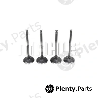 Mahle VA2111419 — Intake Valve