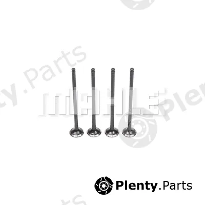 Mahle VE5511555 — Exhaust Valve