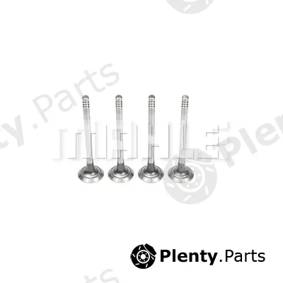 Mahle VE0590173 — Exhaust Valve