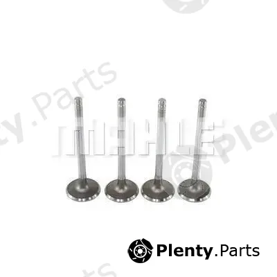 Mahle VA0140015 — Intake Valve