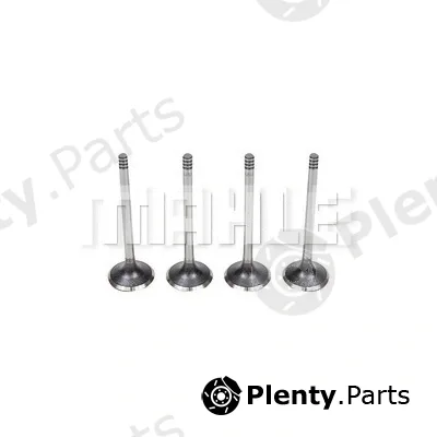 Mahle VA0440571 — Intake Valve
