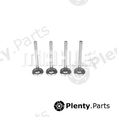 Mahle VE0140083 — Exhaust Valve