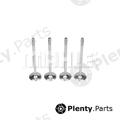 Mahle VA0590179 — Intake Valve