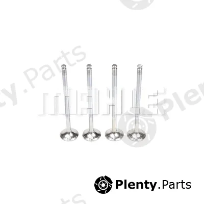 Mahle VE0250051 — Exhaust Valve