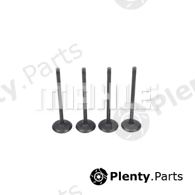 Mahle VA0591474 — Intake Valve