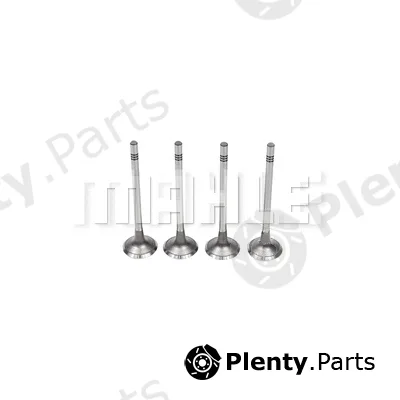 Mahle VA0701558 — Intake Valve
