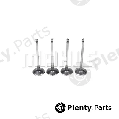 Mahle VA0701459 — Intake Valve