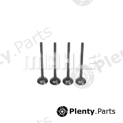 Mahle VE3481578 — Exhaust Valve
