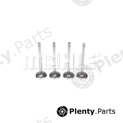 Mahle VE0141574 — Exhaust Valve