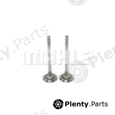 Mahle VA0130277 — Intake Valve