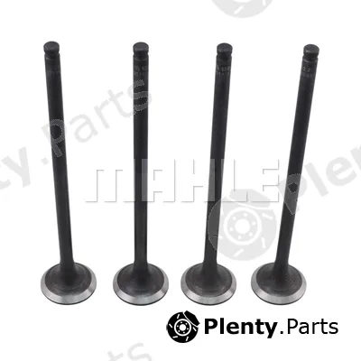 Mahle VE5511769 — Exhaust Valve