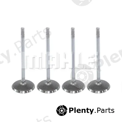 Mahle VA0590174 — Intake Valve