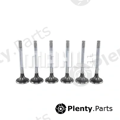 Mahle VE0130098 — Exhaust Valve