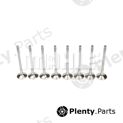 Mahle VE0700243 — Exhaust Valve