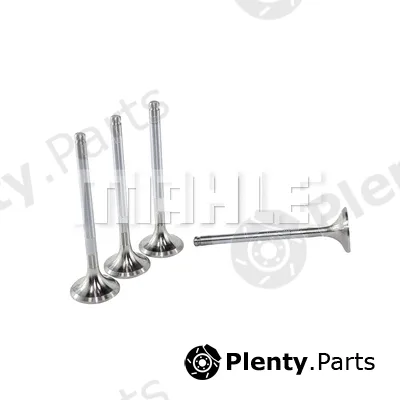 Mahle VE0010212 — Exhaust Valve