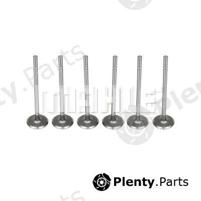 Mahle VA0140106 — Intake Valve