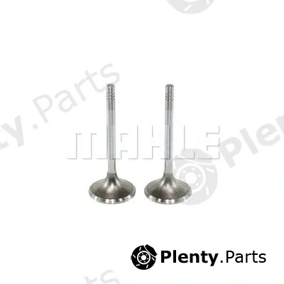 Mahle VE0130278 — Exhaust Valve
