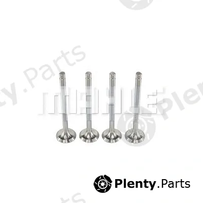 Mahle VE0250019 — Exhaust Valve