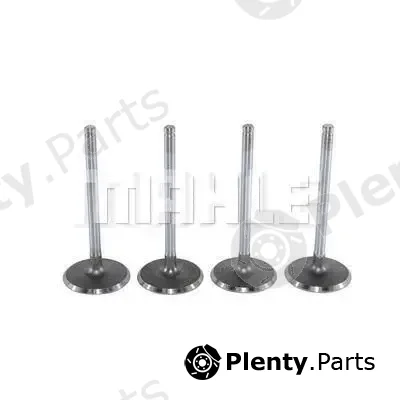 Mahle VA0140041 — Intake Valve