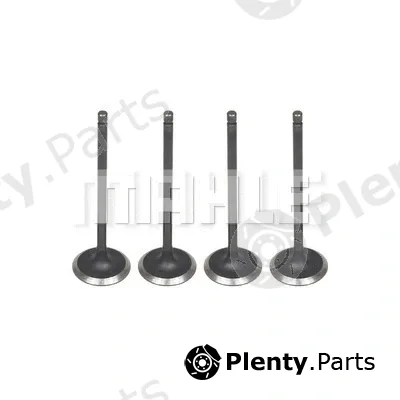 Mahle VA0031570 — Intake Valve