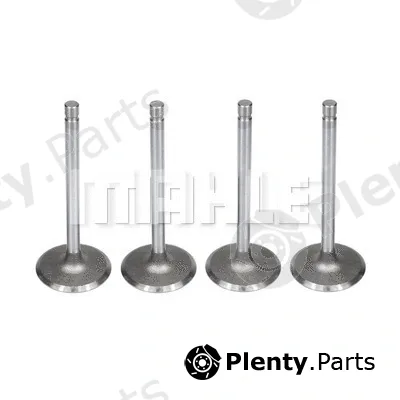 Mahle VA0140183 — Intake Valve