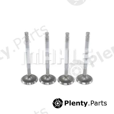 Mahle VA0250018 — Intake Valve
