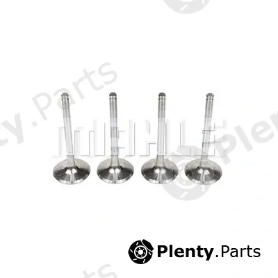Mahle VA0250159 — Intake Valve