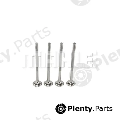 Mahle VE0700073 — Exhaust Valve